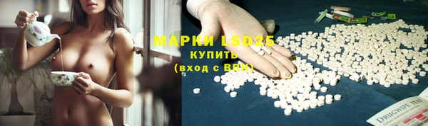 прущие грибы Арсеньев
