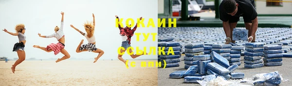 прущие грибы Арсеньев
