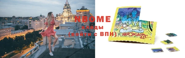 прущие грибы Арсеньев