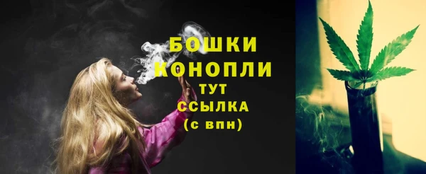 прущие грибы Арсеньев