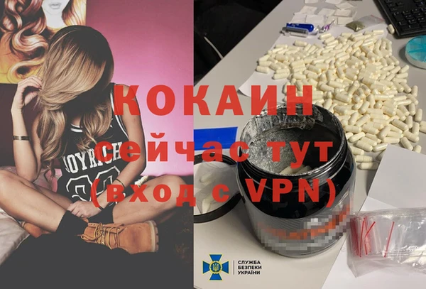 прущие грибы Арсеньев
